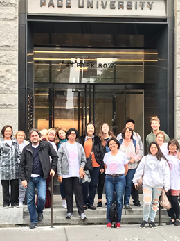 english-immersion-new-york-clarion-fatri-millennium-pace-university-ny