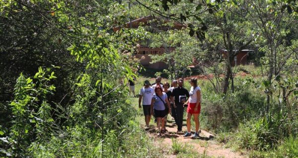 take-break-imersao-ingles-millennium-linguas