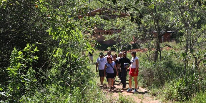 take-break-imersao-ingles-millennium-linguas